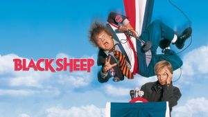 Black Sheep's poster