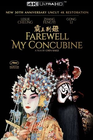 Farewell My Concubine's poster