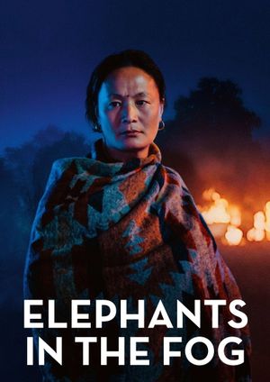 Elephants in the Fog's poster