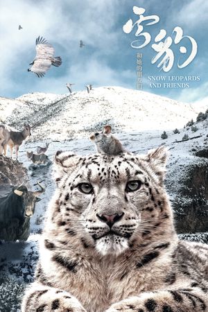 Snow Leopards and Friends's poster