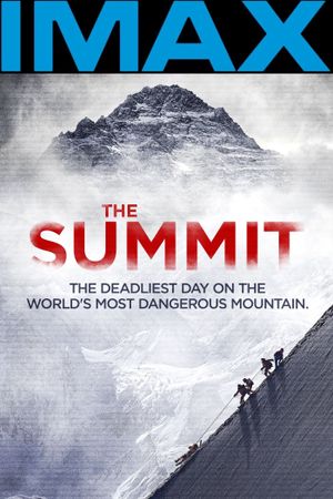 The Summit's poster