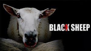 Black Sheep's poster