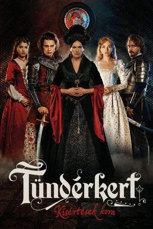 The Prince Of Transylvania's poster
