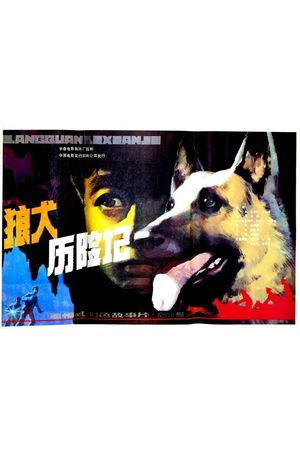 狼犬历险记's poster