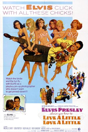 Live a Little, Love a Little's poster