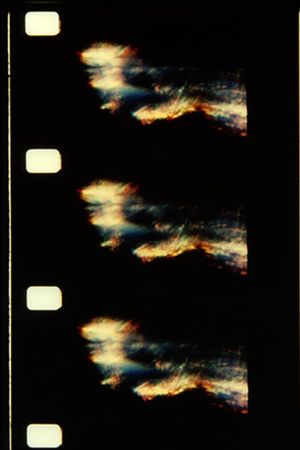 The Text of Light's poster