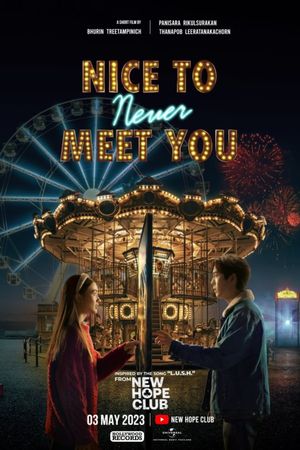 Nice To Never Meet You's poster