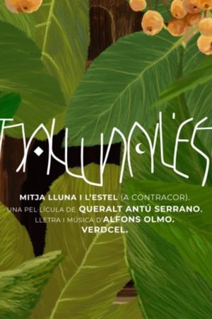 Mitja lluna i l’estel's poster
