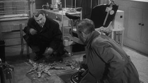 The Quatermass Xperiment's poster