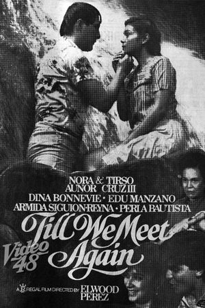 Till We Meet Again's poster
