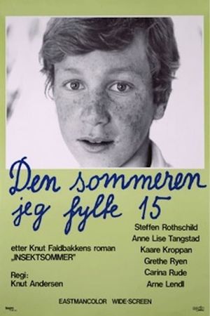 Den sommeren jeg fylte 15's poster