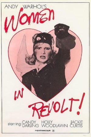 Women in Revolt's poster