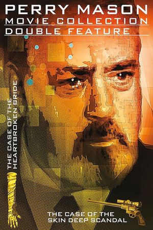 Perry Mason: The Case of the Skin-Deep Scandal's poster