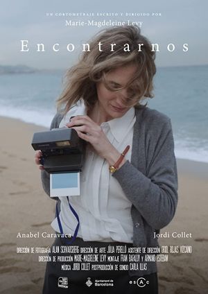 The Encounter's poster