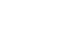Silver Linings Playbook's poster