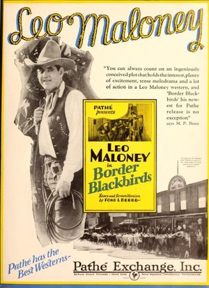 Border Blackbirds's poster