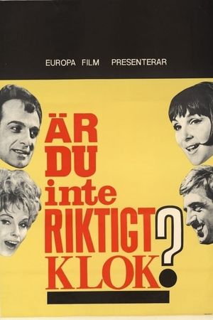 Är du inte riktigt klok?'s poster