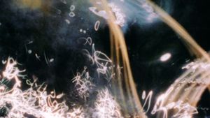 A Darkness Swallowed's poster