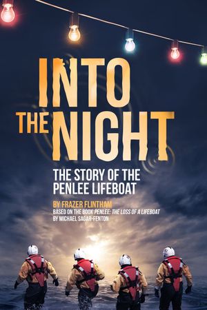 Into the Night's poster