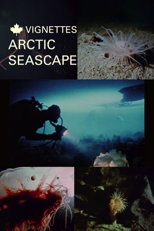 Canada Vignettes: Arctic Seascape's poster