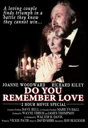 Do You Remember Love's poster