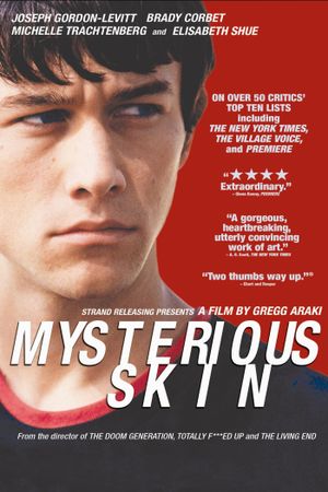 Mysterious Skin's poster