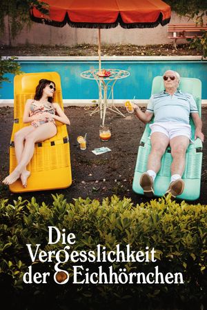 Die Vergesslichkeit der Eichhörnchen's poster