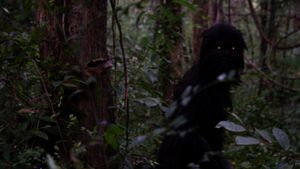 Uncle Boonmee Who Can Recall His Past Lives's poster