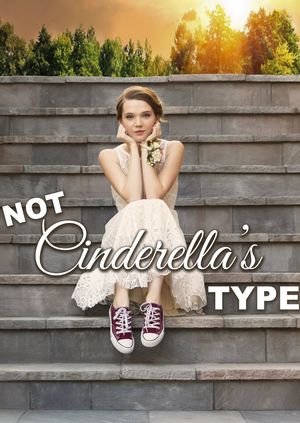 Not Cinderella's Type's poster