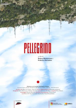 Pellegrino's poster