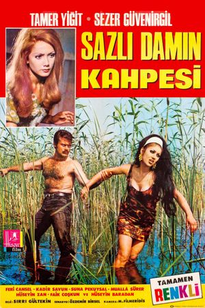 Sazli Damin Kahpesi's poster