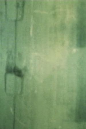 CLONE CHROMOSOME's poster