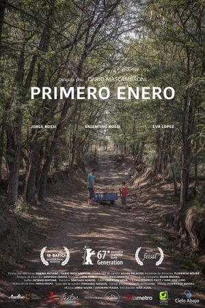 Primero enero's poster