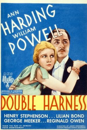 Double Harness's poster