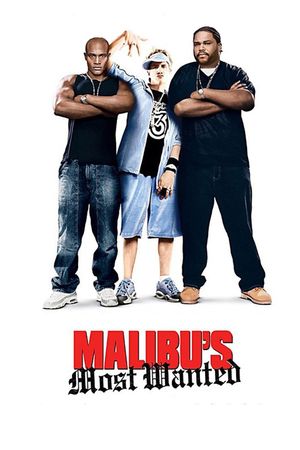 Malibu's Most Wanted's poster