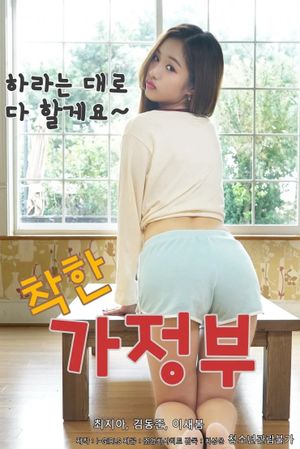 A Nice Housekeeper's poster