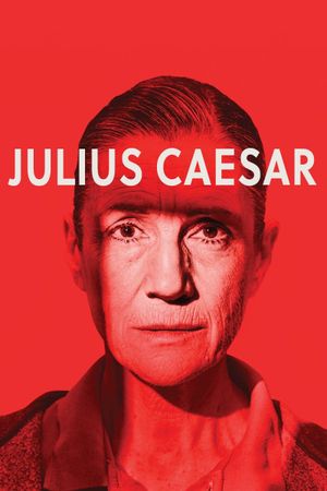 Julius Caesar's poster