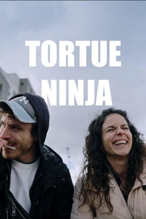 Tortue Ninja's poster