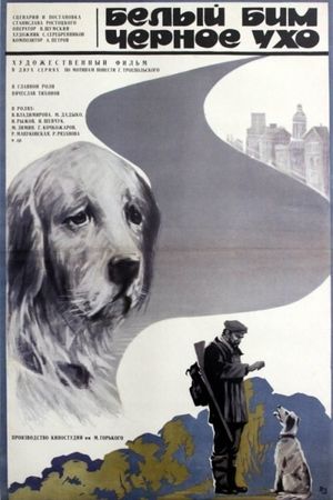 White Bim Black Ear's poster