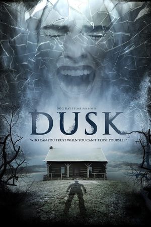 Dusk's poster