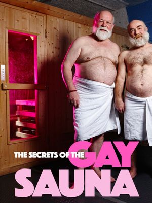 Secrets of the Gay Sauna's poster