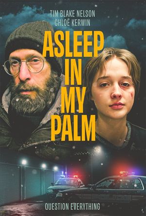 Asleep in My Palm's poster image