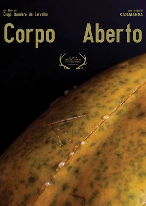 Corpo Aberto's poster