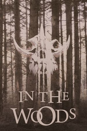 In the Woods's poster