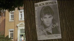 Black Roses's poster