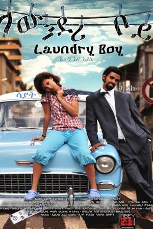 Laundry Boy's poster