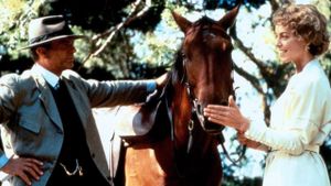 Country Life's poster