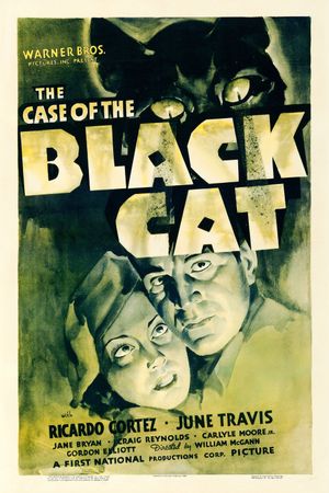 The Case of the Black Cat's poster
