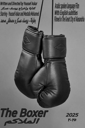 The Boxer's poster