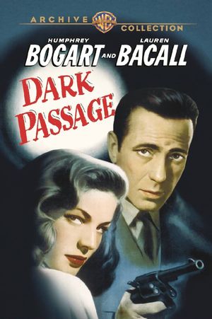 Dark Passage's poster
